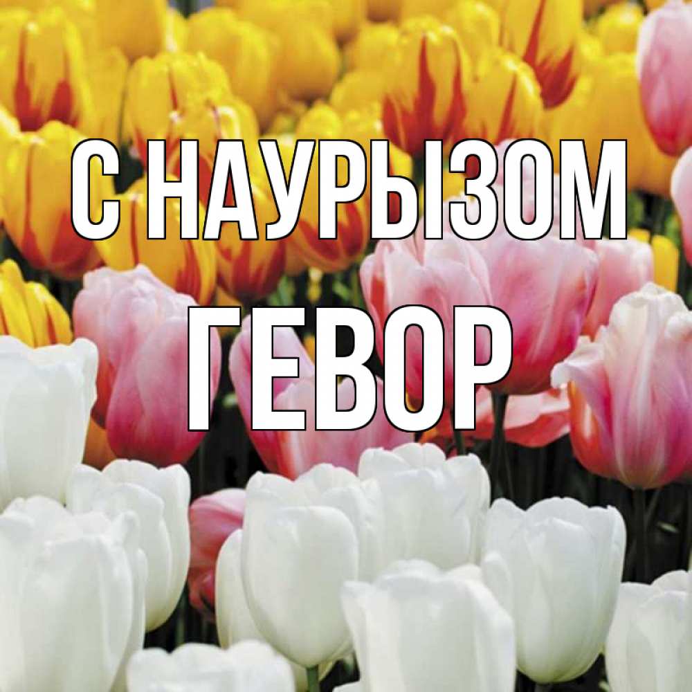 Открытка на каждый день с именем, Гевор С наурызом разноцветные цветы Прикольная открытка с пожеланием онлайн скачать бесплатно 