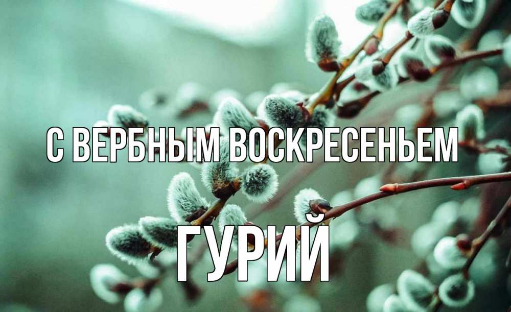 Открытка на каждый день с именем, Гурий С вербным воскресеньем верба Прикольная открытка с пожеланием онлайн скачать бесплатно 
