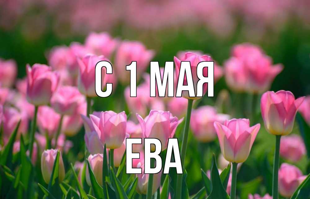 Открытка на каждый день с именем, Ева С 1 мая С 1 мая Прикольная открытка с пожеланием онлайн скачать бесплатно 