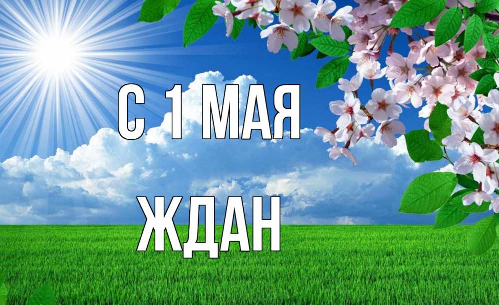 Открытка на каждый день с именем, Ждан С 1 мая С 1 мая Прикольная открытка с пожеланием онлайн скачать бесплатно 