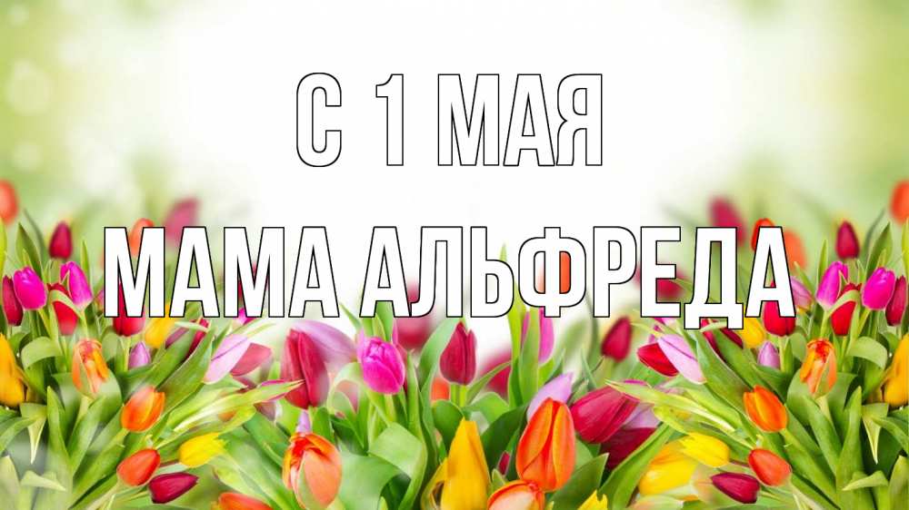 Открытка на каждый день с именем, Мама-Альфреда С 1 мая С 1 мая Прикольная открытка с пожеланием онлайн скачать бесплатно 