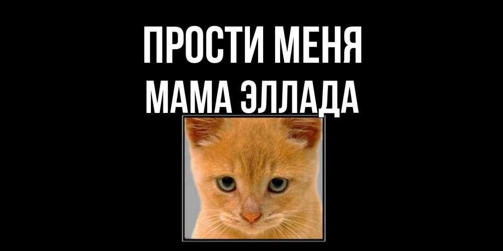 Открытка на каждый день с именем, Мама-Эллада Прости меня рыжий грустный кот просит прощения Прикольная открытка с пожеланием онлайн скачать бесплатно 