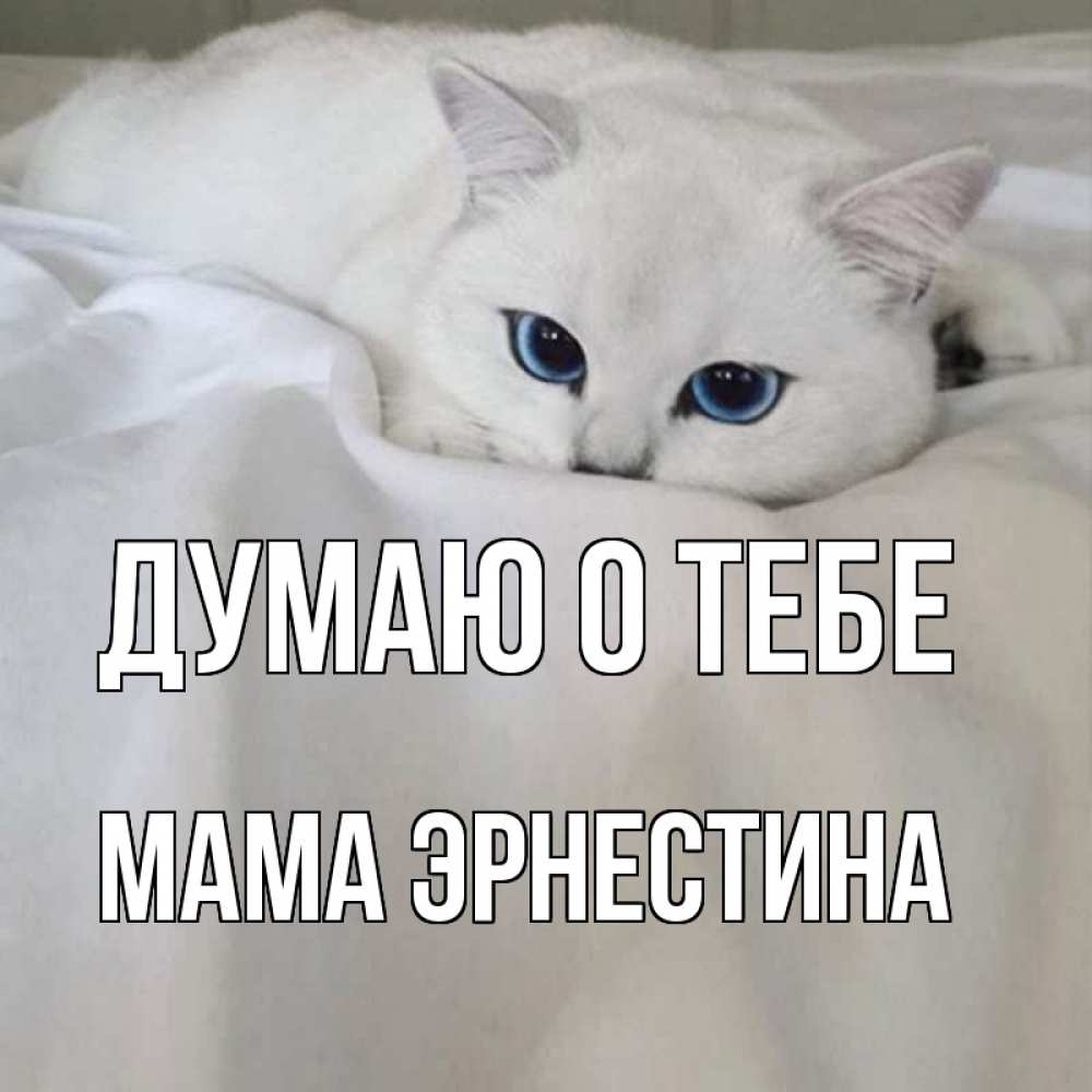 Открытка на каждый день с именем, Мама-Эрнестина Думаю о тебе я очень по тебе скучаю и тоскую Прикольная открытка с пожеланием онлайн скачать бесплатно 