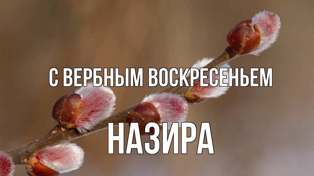 Открытка на каждый день с именем, Назира С вербным воскресеньем верба Прикольная открытка с пожеланием онлайн скачать бесплатно 