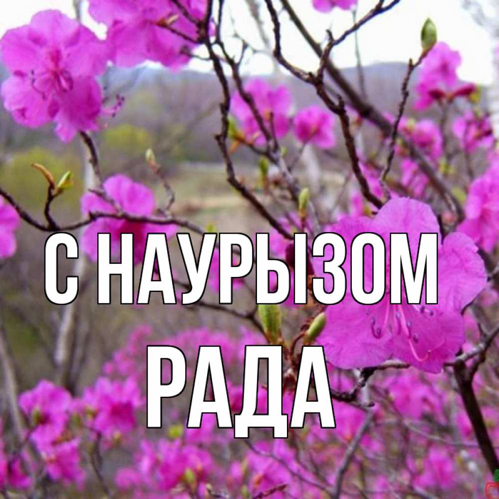 Открытка на каждый день с именем, Рада С наурызом праздник весны наурыз Прикольная открытка с пожеланием онлайн скачать бесплатно 