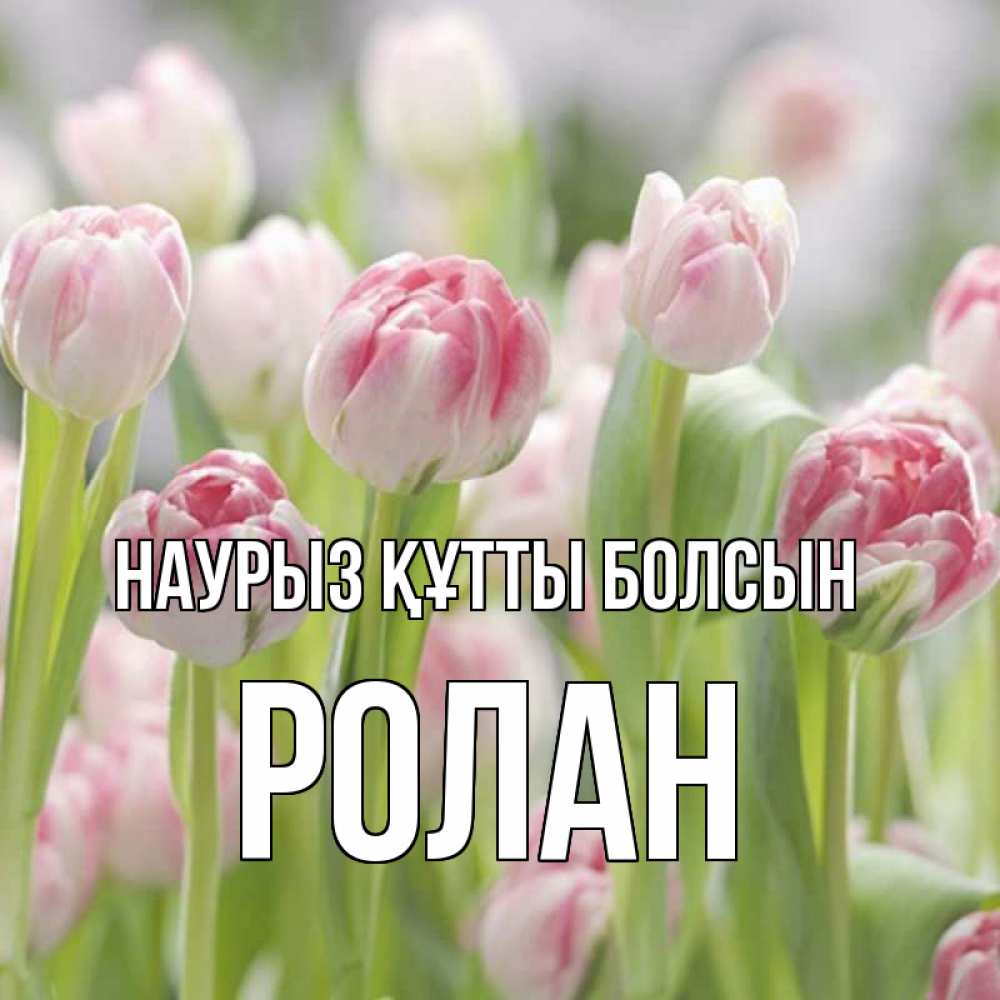 Открытка на каждый день с именем, Ролан Наурыз құтты болсын цветы Прикольная открытка с пожеланием онлайн скачать бесплатно 