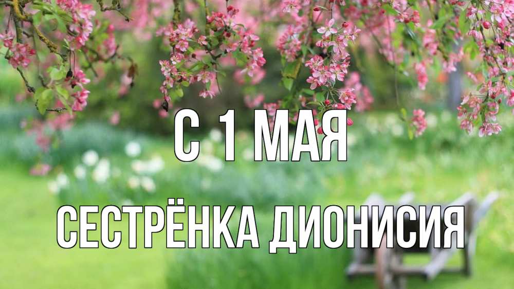 Открытка на каждый день с именем, Сестрёнка-Дионисия С 1 мая С 1 мая Прикольная открытка с пожеланием онлайн скачать бесплатно 