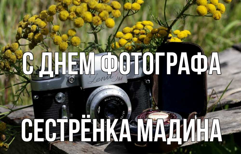 Открытка на каждый день с именем, Сестрёнка-Мадина С днем фотографа с днем фотографа Прикольная открытка с пожеланием онлайн скачать бесплатно 