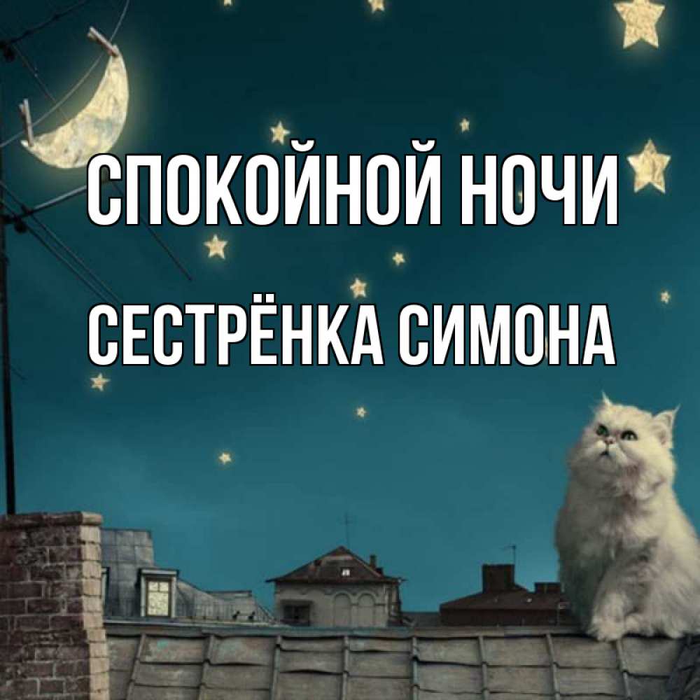 Открытка на каждый день с именем, Сестрёнка-Симона Спокойной ночи белый кот сидит на крыше Прикольная открытка с пожеланием онлайн скачать бесплатно 