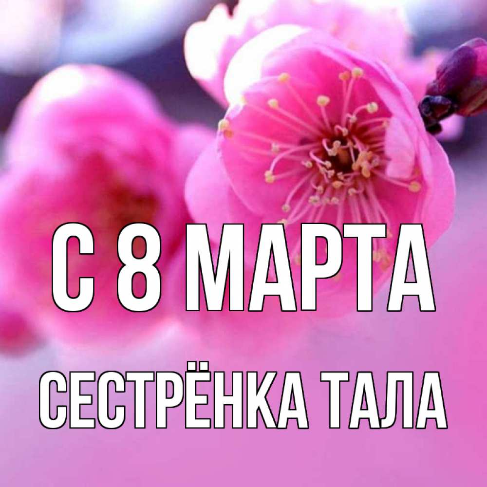 Открытка на каждый день с именем, Сестрёнка-Тала С 8 МАРТА международный женский день Прикольная открытка с пожеланием онлайн скачать бесплатно 
