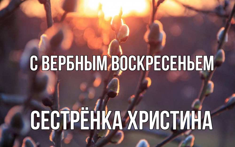 Открытка на каждый день с именем, Сестрёнка-Христина С вербным воскресеньем верба Прикольная открытка с пожеланием онлайн скачать бесплатно 