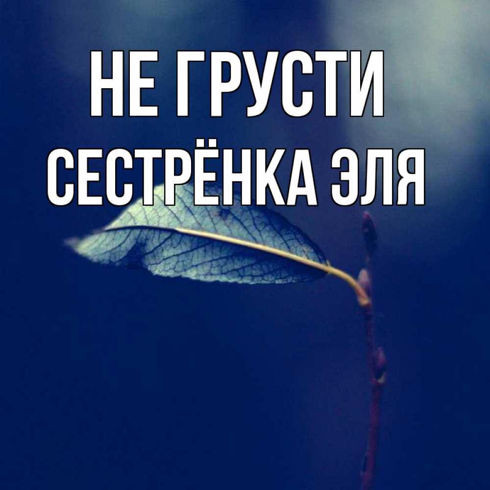 Открытка на каждый день с именем, Сестрёнка-Эля Не грусти растение Прикольная открытка с пожеланием онлайн скачать бесплатно 