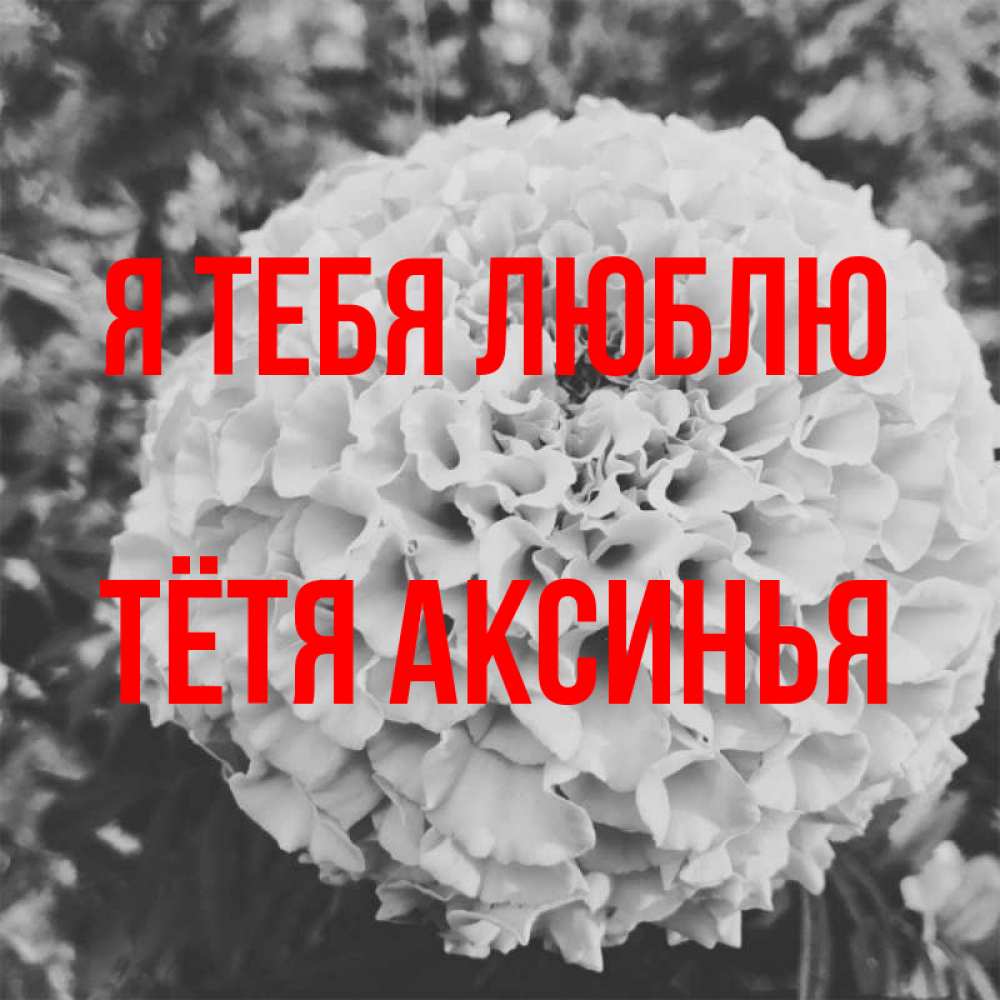 Открытка на каждый день с именем, Тётя-Аксинья Я тебя люблю подпись Прикольная открытка с пожеланием онлайн скачать бесплатно 