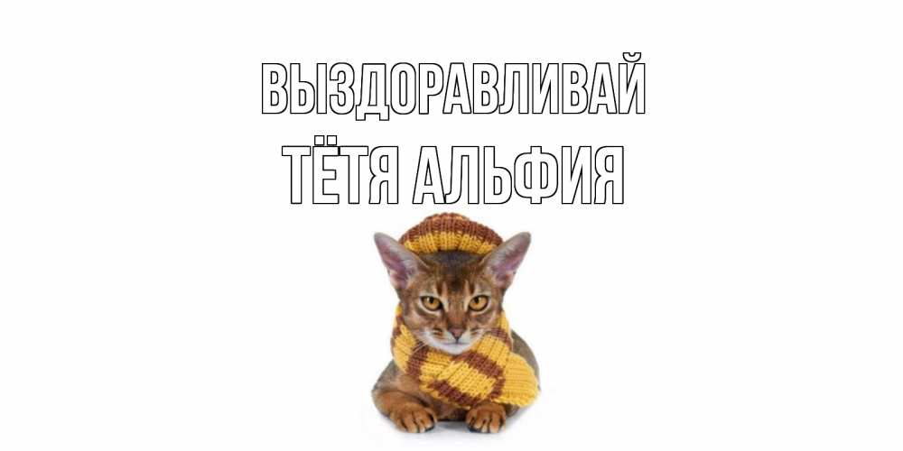 Открытка на каждый день с именем, Тётя-Альфия Выздоравливай родные не болейте Прикольная открытка с пожеланием онлайн скачать бесплатно 