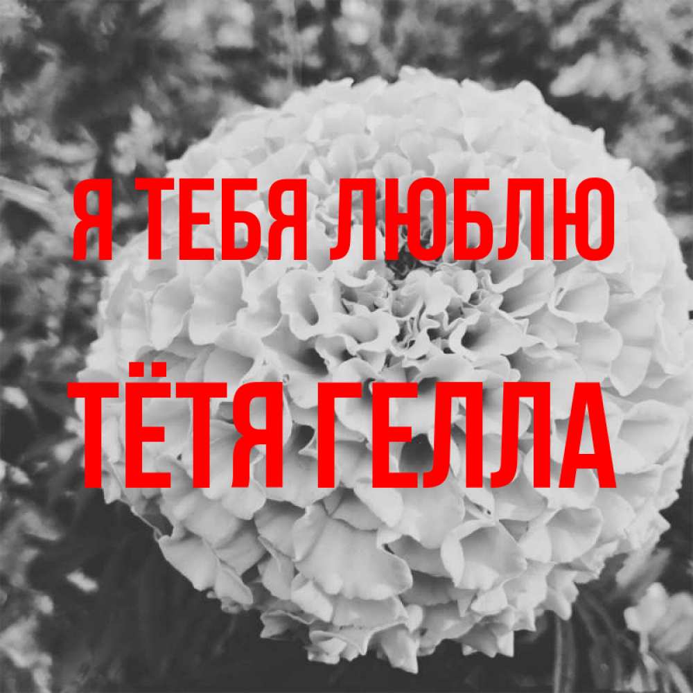 Открытка на каждый день с именем, Тётя-Гелла Я тебя люблю подпись Прикольная открытка с пожеланием онлайн скачать бесплатно 