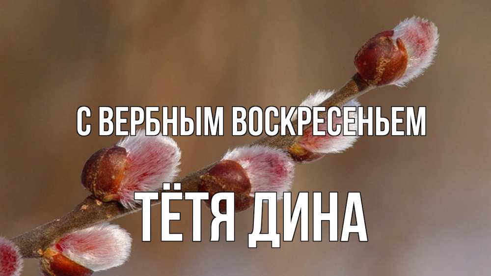 Открытка на каждый день с именем, Тётя-Дина С вербным воскресеньем верба Прикольная открытка с пожеланием онлайн скачать бесплатно 