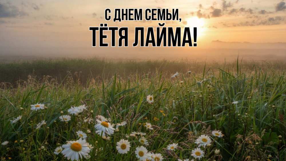 Открытка на каждый день с именем, Тётя-Лайма С днем семьи с днем семьи Прикольная открытка с пожеланием онлайн скачать бесплатно 