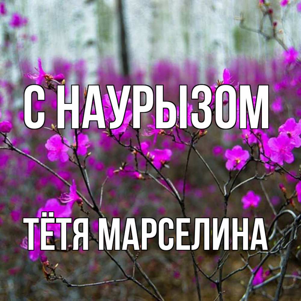 Открытка на каждый день с именем, Тётя-Марселина С наурызом дикие цветы Прикольная открытка с пожеланием онлайн скачать бесплатно 
