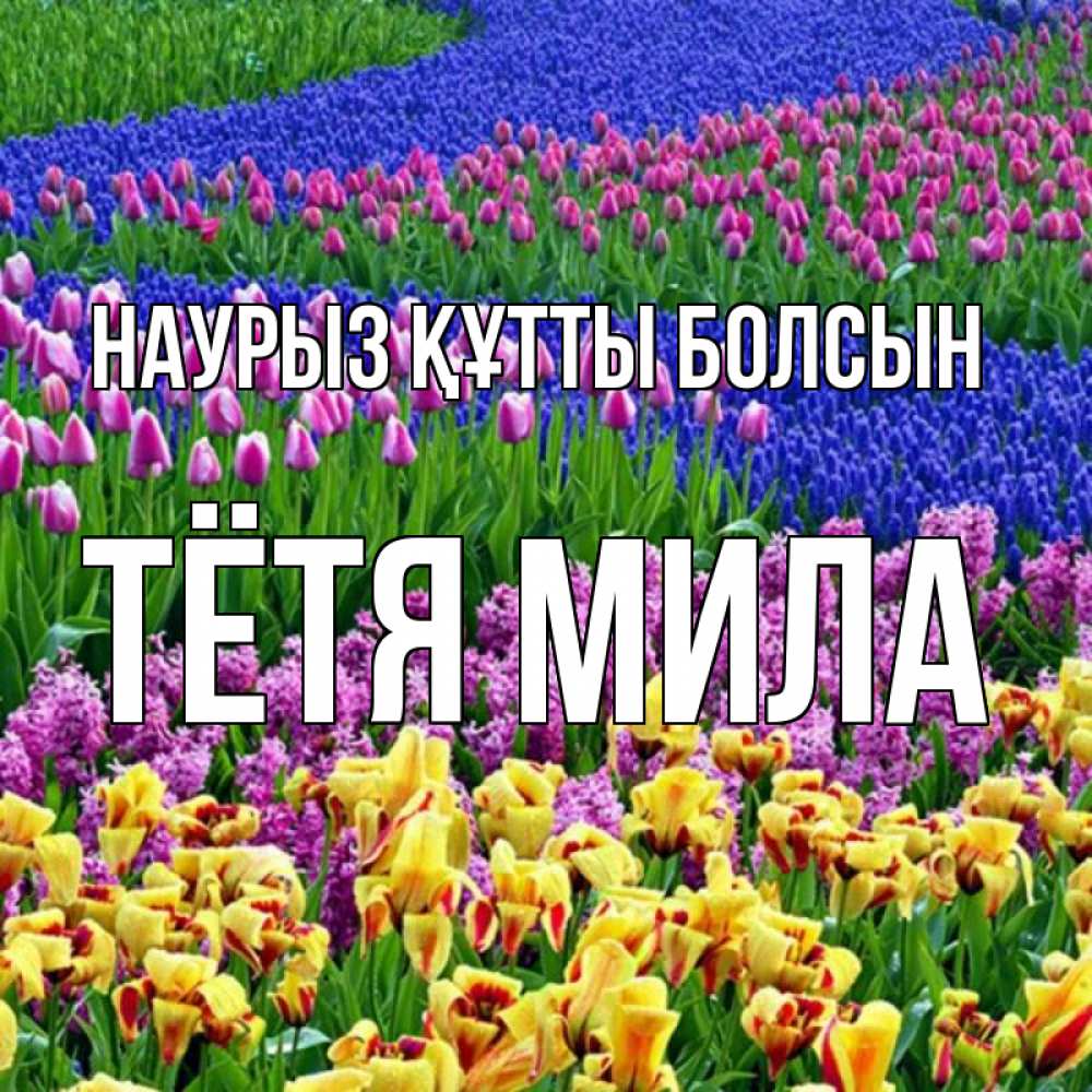 Открытка на каждый день с именем, Тётя-Мила Наурыз құтты болсын цветы Прикольная открытка с пожеланием онлайн скачать бесплатно 