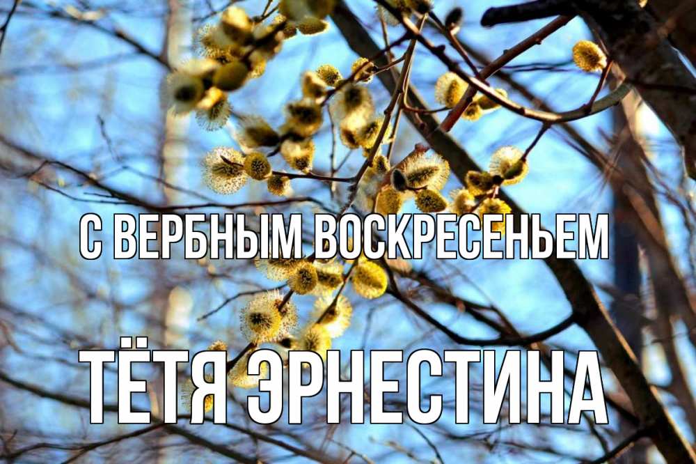Открытка на каждый день с именем, Тётя-Эрнестина С вербным воскресеньем верба Прикольная открытка с пожеланием онлайн скачать бесплатно 