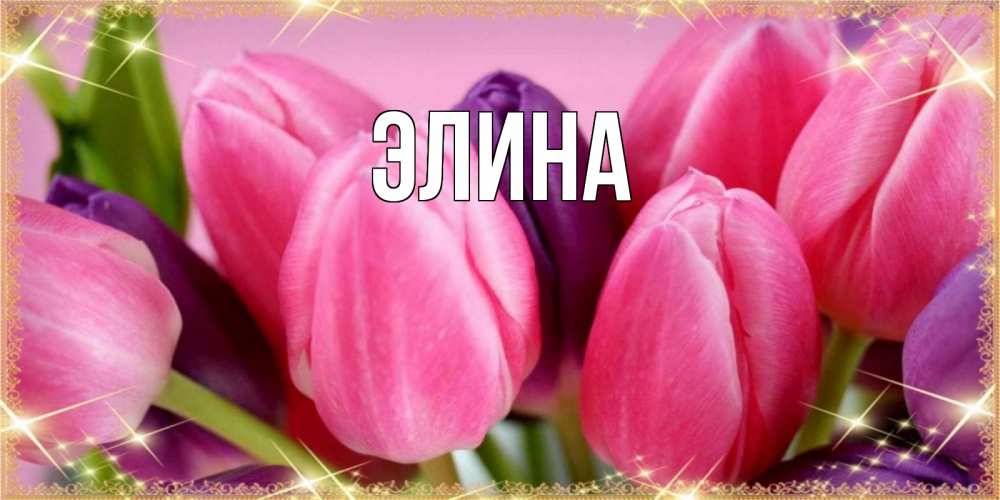 Открытка на каждый день с именем, Элина Главная тюльпаны для женщины на международный женский день Прикольная открытка с пожеланием онлайн скачать бесплатно 