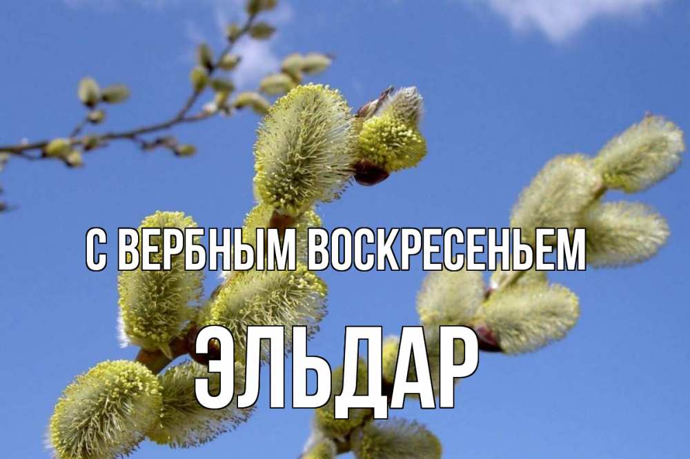 Открытка на каждый день с именем, Эльдар С вербным воскресеньем верба Прикольная открытка с пожеланием онлайн скачать бесплатно 