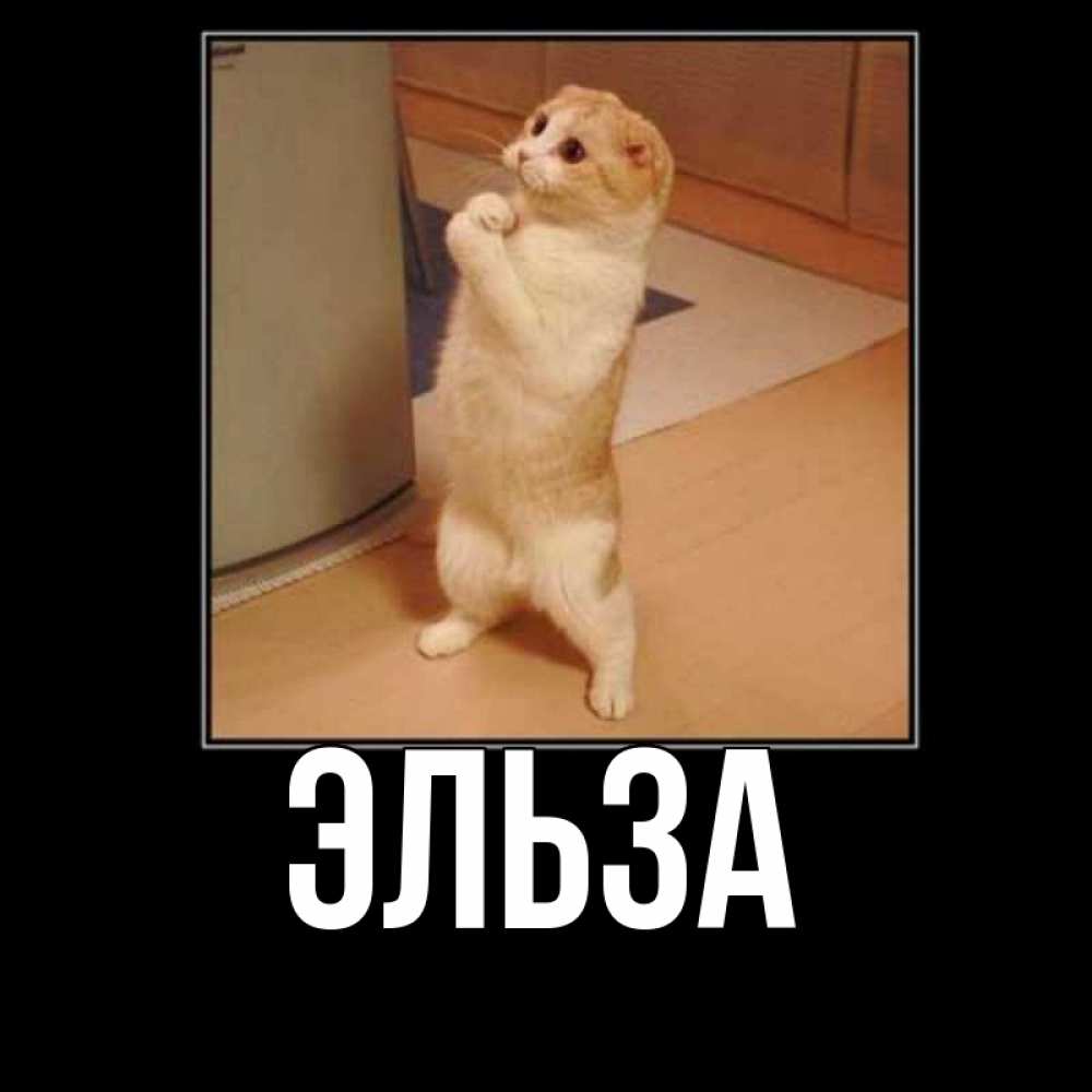 Картинка  с именем , Эльза