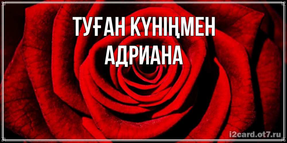 Открытка на каждый день с именем, Адриана Туған күніңмен алая роза Прикольная открытка с пожеланием онлайн скачать бесплатно 