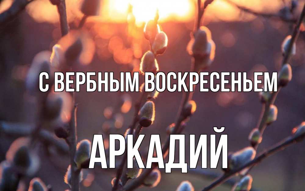 Открытка на каждый день с именем, Аркадий С вербным воскресеньем верба Прикольная открытка с пожеланием онлайн скачать бесплатно 
