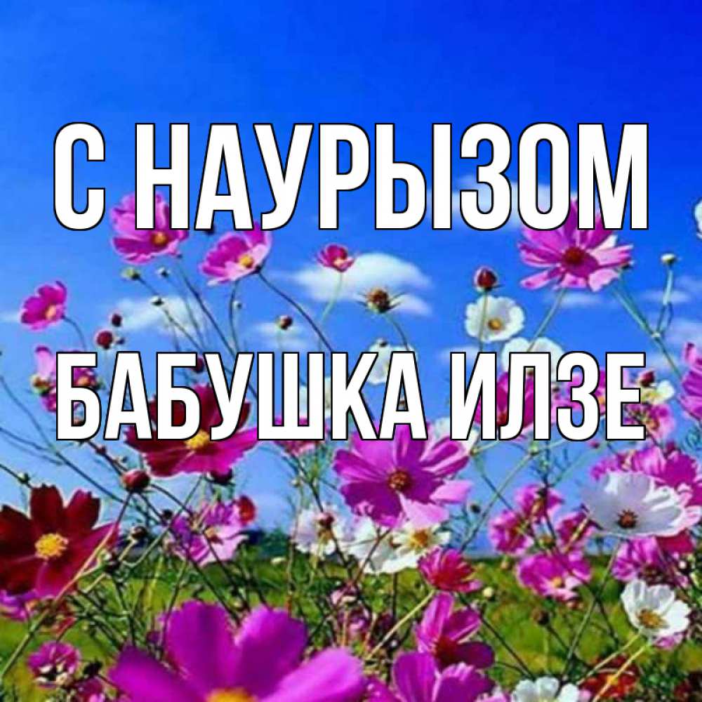 Открытка на каждый день с именем, Бабушка-Илзе С наурызом цветы Прикольная открытка с пожеланием онлайн скачать бесплатно 