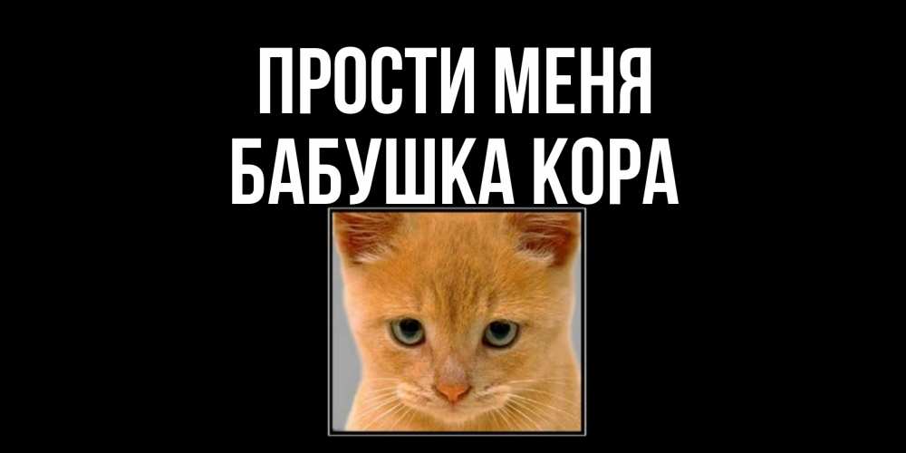 Открытка на каждый день с именем, Бабушка-Кора Прости меня рыжий грустный кот просит прощения Прикольная открытка с пожеланием онлайн скачать бесплатно 