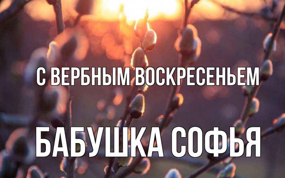 Открытка на каждый день с именем, Бабушка-Софья С вербным воскресеньем верба Прикольная открытка с пожеланием онлайн скачать бесплатно 