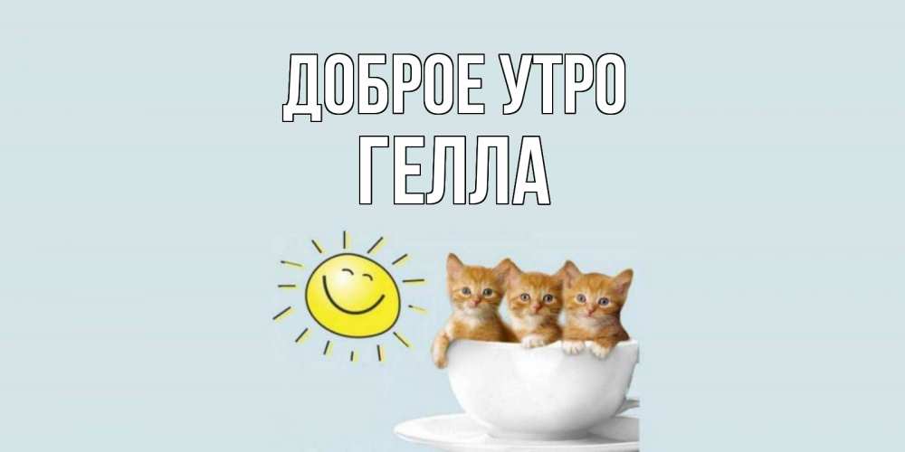 Открытка на каждый день с именем, Гелла Доброе утро котята Прикольная открытка с пожеланием онлайн скачать бесплатно 