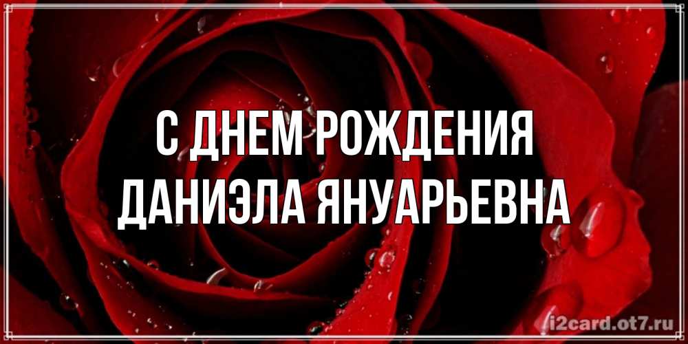 Открытка на каждый день с именем, Даниэла-Януарьевна С днем рождения крупная бордовая роза Прикольная открытка с пожеланием онлайн скачать бесплатно 