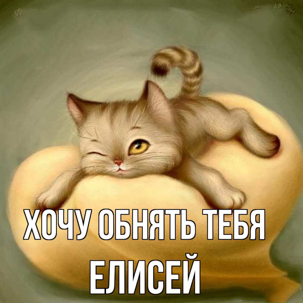 Открытка на каждый день с именем, Елисей Хочу обнять тебя кошечка Прикольная открытка с пожеланием онлайн скачать бесплатно 
