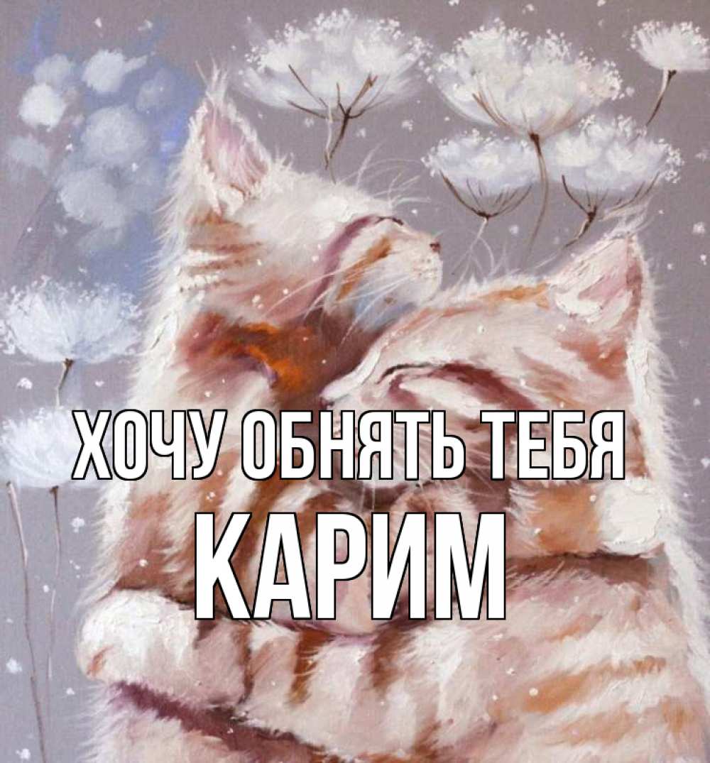 Открытка на каждый день с именем, Карим Хочу обнять тебя Море и горы Прикольная открытка с пожеланием онлайн скачать бесплатно 