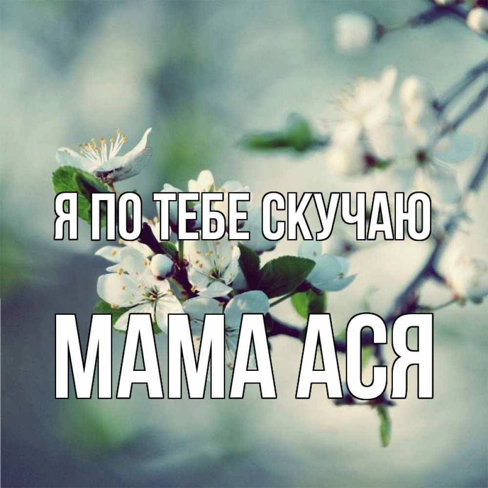 Открытка на каждый день с именем, Мама-Ася Я по тебе скучаю весна Прикольная открытка с пожеланием онлайн скачать бесплатно 