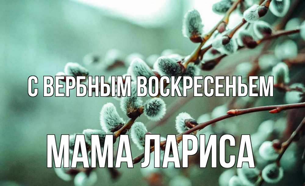Открытка на каждый день с именем, Мама-Лариса С вербным воскресеньем верба Прикольная открытка с пожеланием онлайн скачать бесплатно 