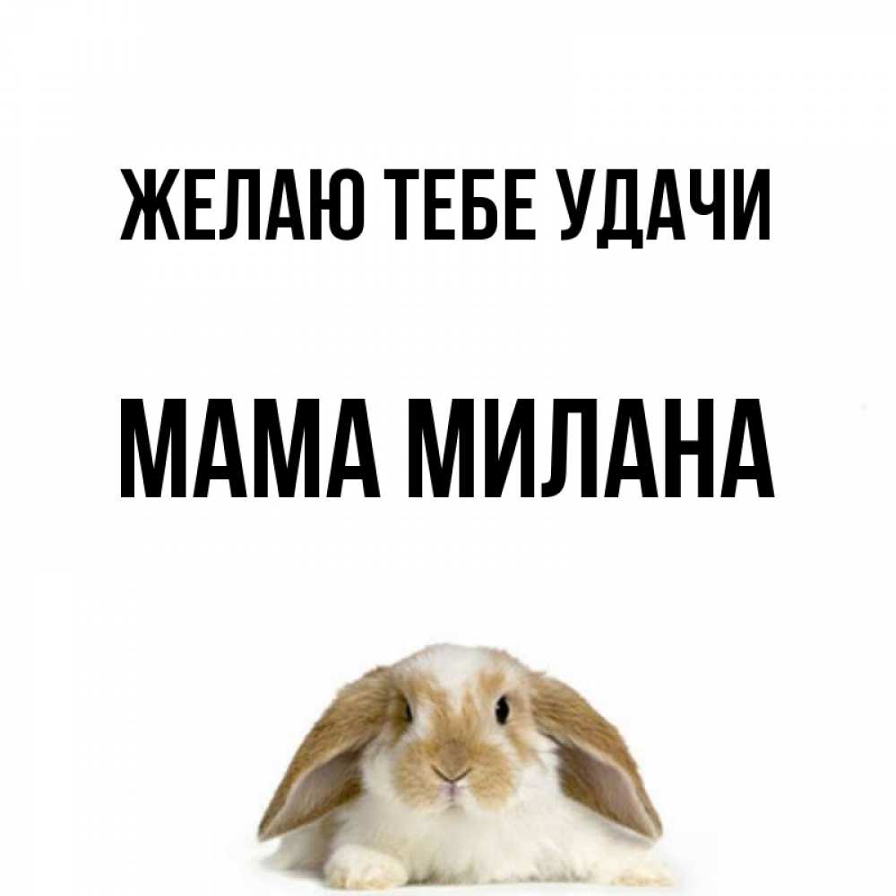 Открытка на каждый день с именем, Мама-Милана Желаю тебе удачи открытки с произвольным текстом который можно вставить в открытку и создать ее самостоятельно бесплатно онлайн Прикольная открытка с пожеланием онлайн скачать бесплатно 