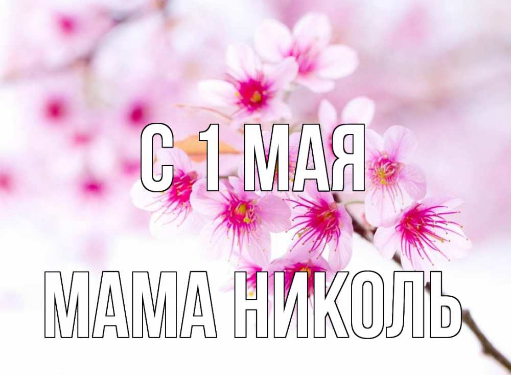 Открытка на каждый день с именем, Мама-Николь С 1 мая С 1 мая 2 Прикольная открытка с пожеланием онлайн скачать бесплатно 