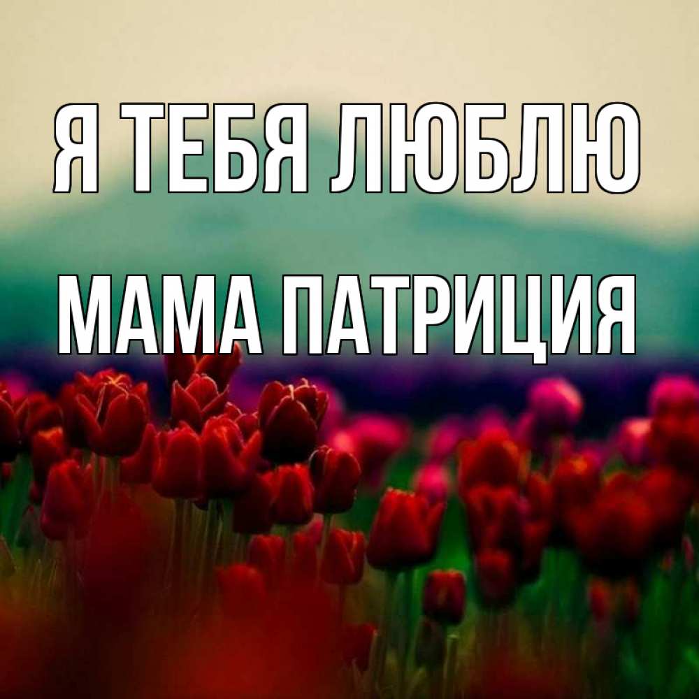 Открытка на каждый день с именем, Мама-Патриция Я тебя люблю тюльпаны 4 Прикольная открытка с пожеланием онлайн скачать бесплатно 