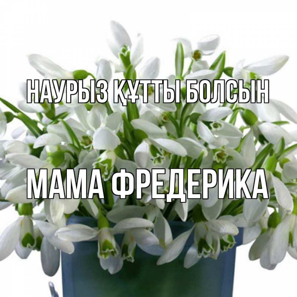 Открытка на каждый день с именем, Мама-Фредерика Наурыз құтты болсын цветы к наурызу Прикольная открытка с пожеланием онлайн скачать бесплатно 
