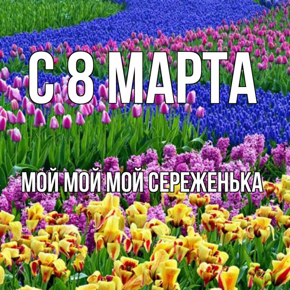 Открытка на каждый день с именем, Мой-мой-мой-Сереженька С 8 МАРТА цветы Прикольная открытка с пожеланием онлайн скачать бесплатно 