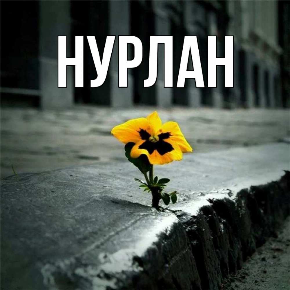Открытка на каждый день с именем, Нурлан Главная надеюсь будет лучше Прикольная открытка с пожеланием онлайн скачать бесплатно 