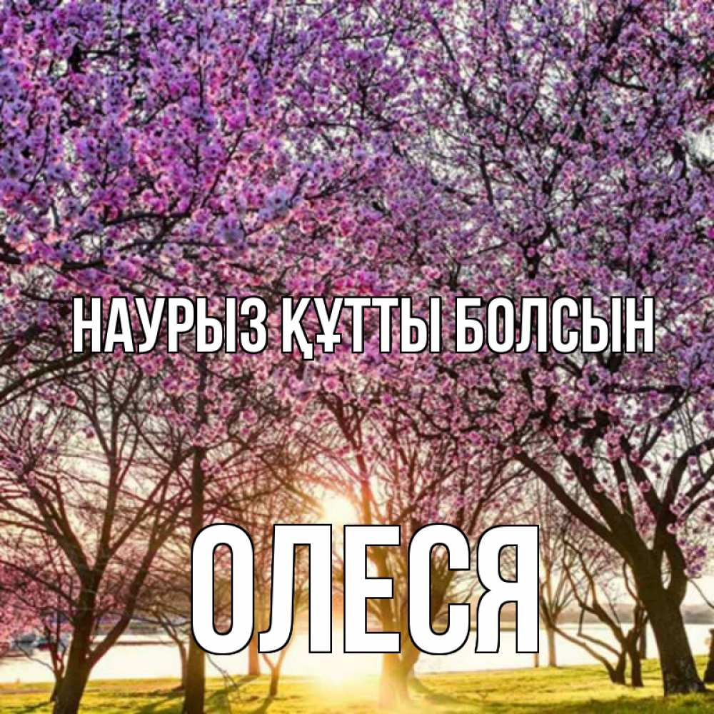 Открытка на каждый день с именем, Олеся Наурыз құтты болсын наурыз Прикольная открытка с пожеланием онлайн скачать бесплатно 