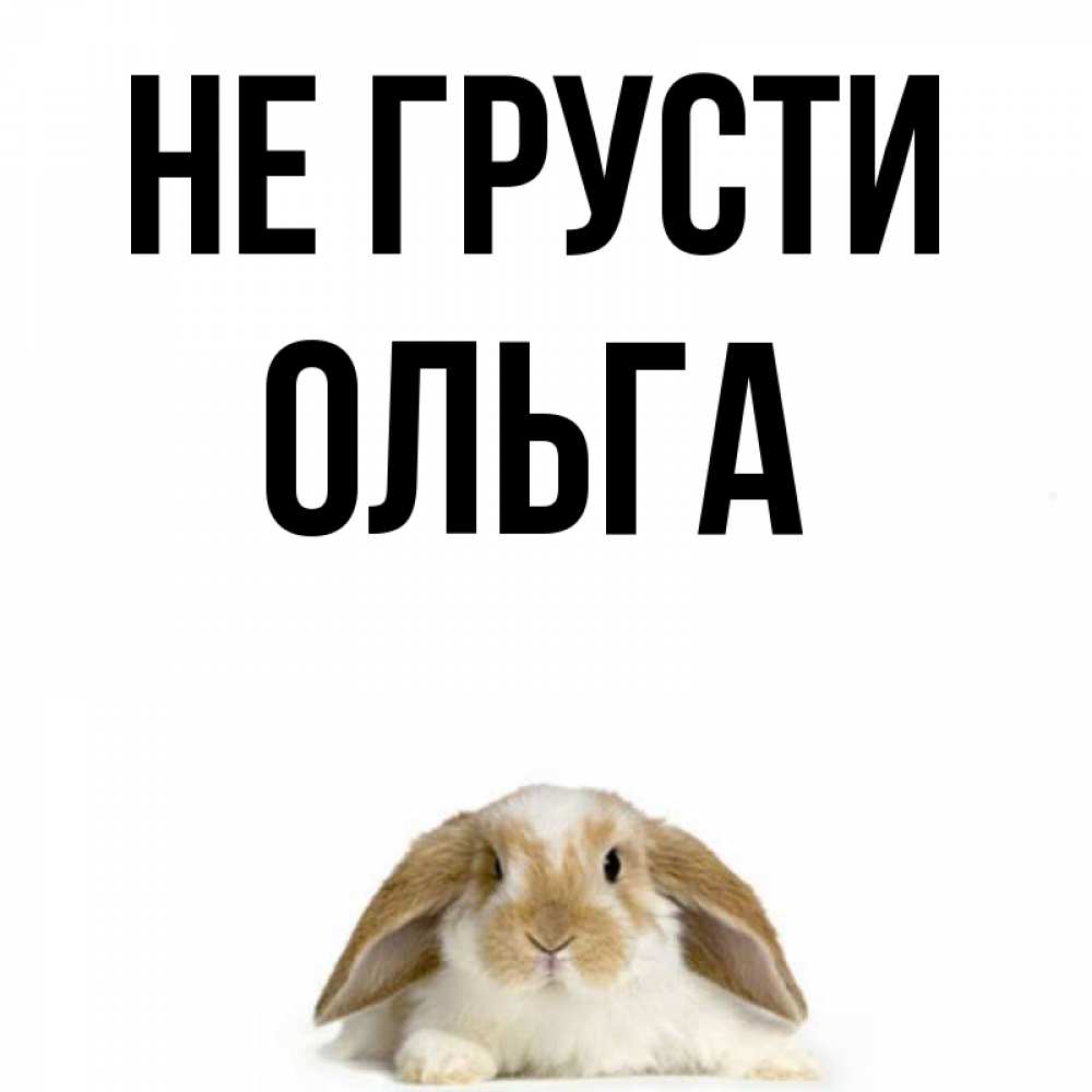 Открытка на каждый день с именем, Ольга Не грусти коричнево белый заяц с большими ушками Прикольная открытка с пожеланием онлайн скачать бесплатно 