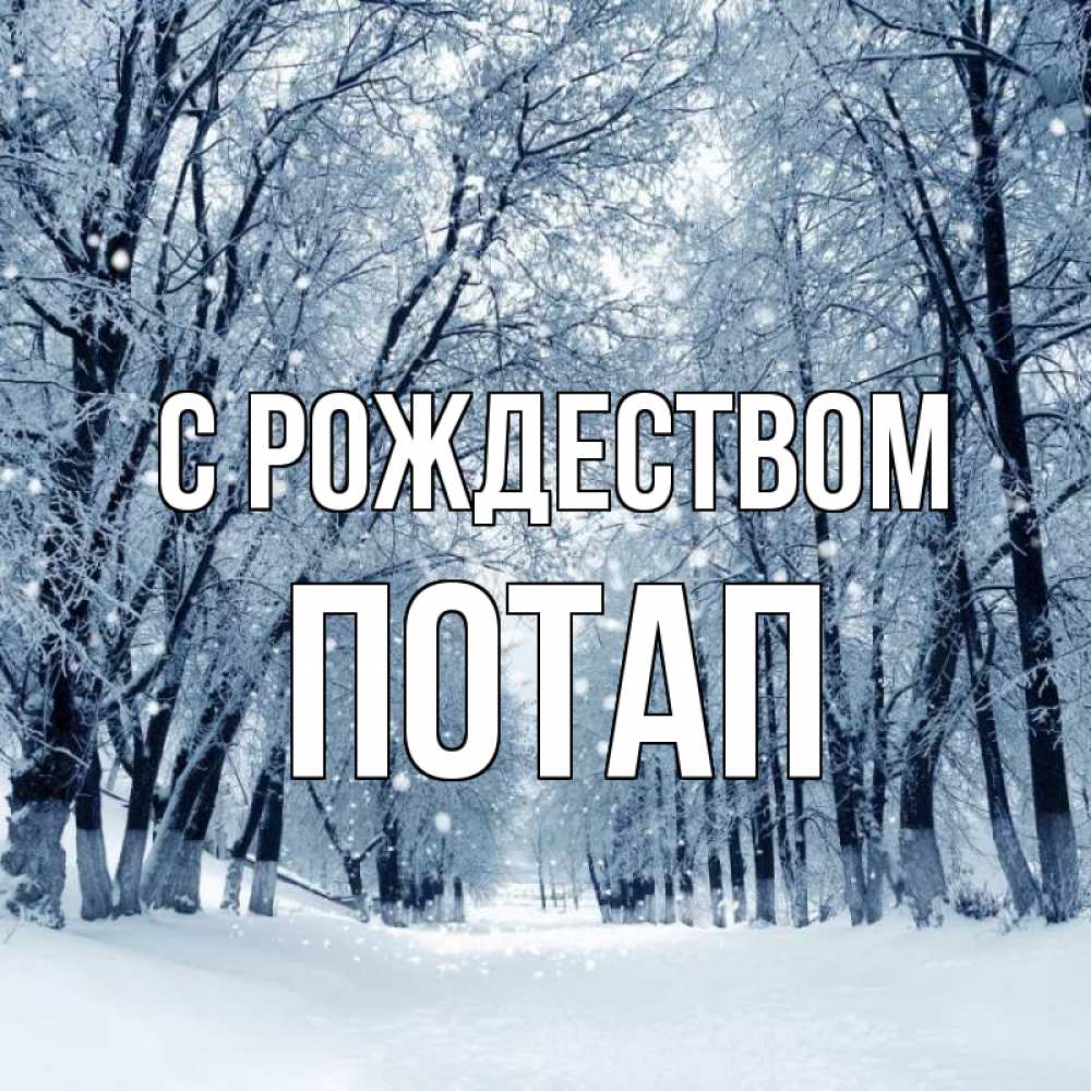 Открытка на каждый день с именем, Потап С рождеством снег, лес, парк Прикольная открытка с пожеланием онлайн скачать бесплатно 