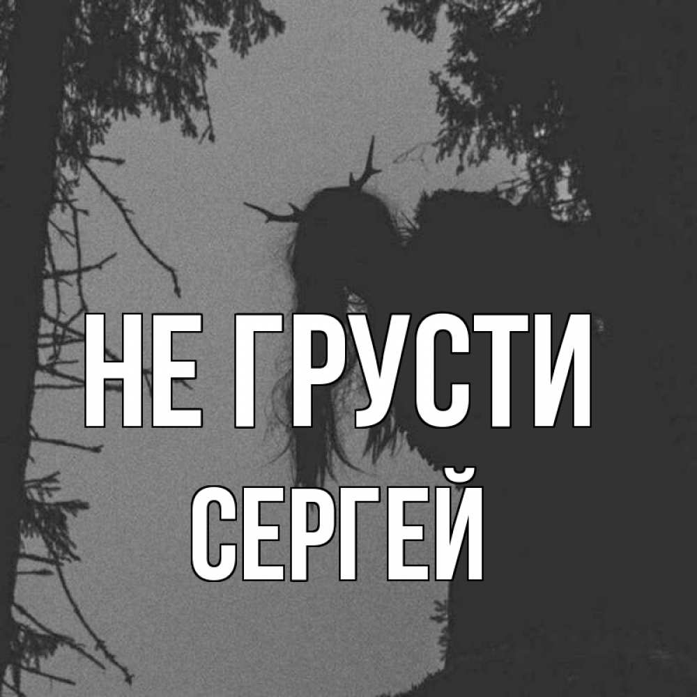 Открытка на каждый день с именем, Сергей Не грусти чудище лесное Прикольная открытка с пожеланием онлайн скачать бесплатно 