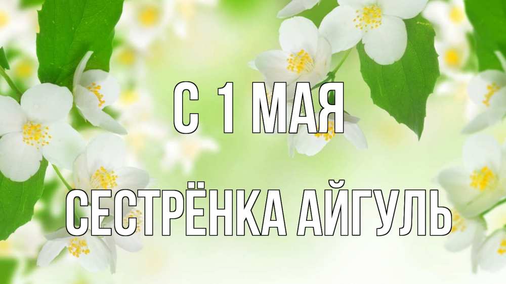 Открытка на каждый день с именем, Сестрёнка-Айгуль С 1 мая С 1 мая Прикольная открытка с пожеланием онлайн скачать бесплатно 