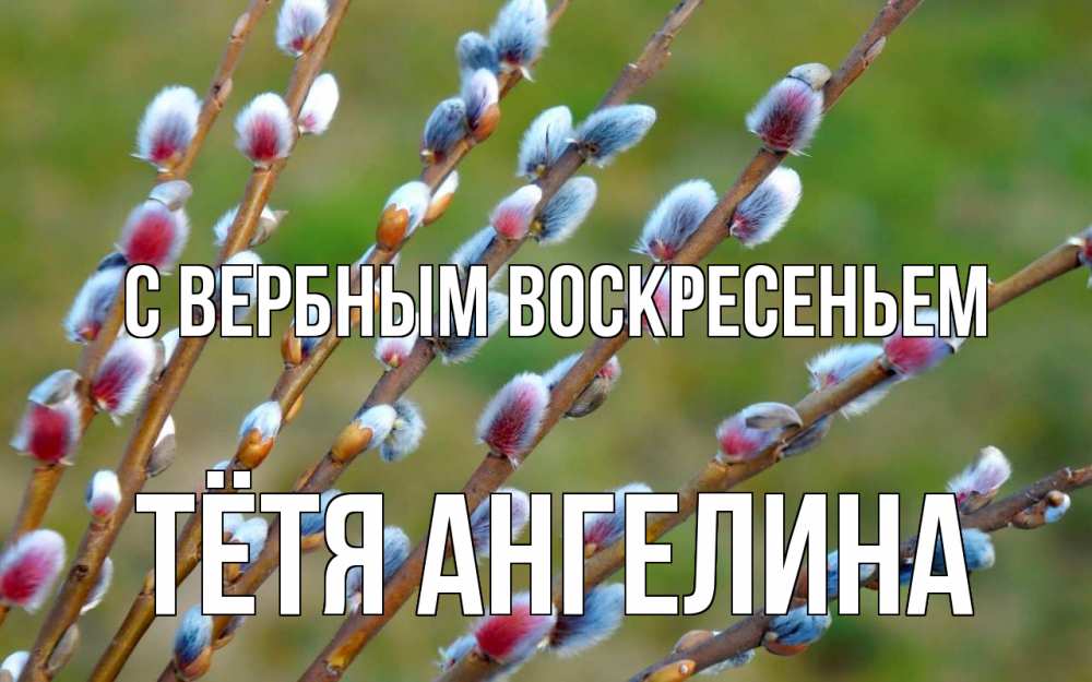 Открытка на каждый день с именем, Тётя-Ангелина С вербным воскресеньем верба Прикольная открытка с пожеланием онлайн скачать бесплатно 